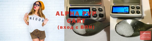 Альфа ПВП Верея